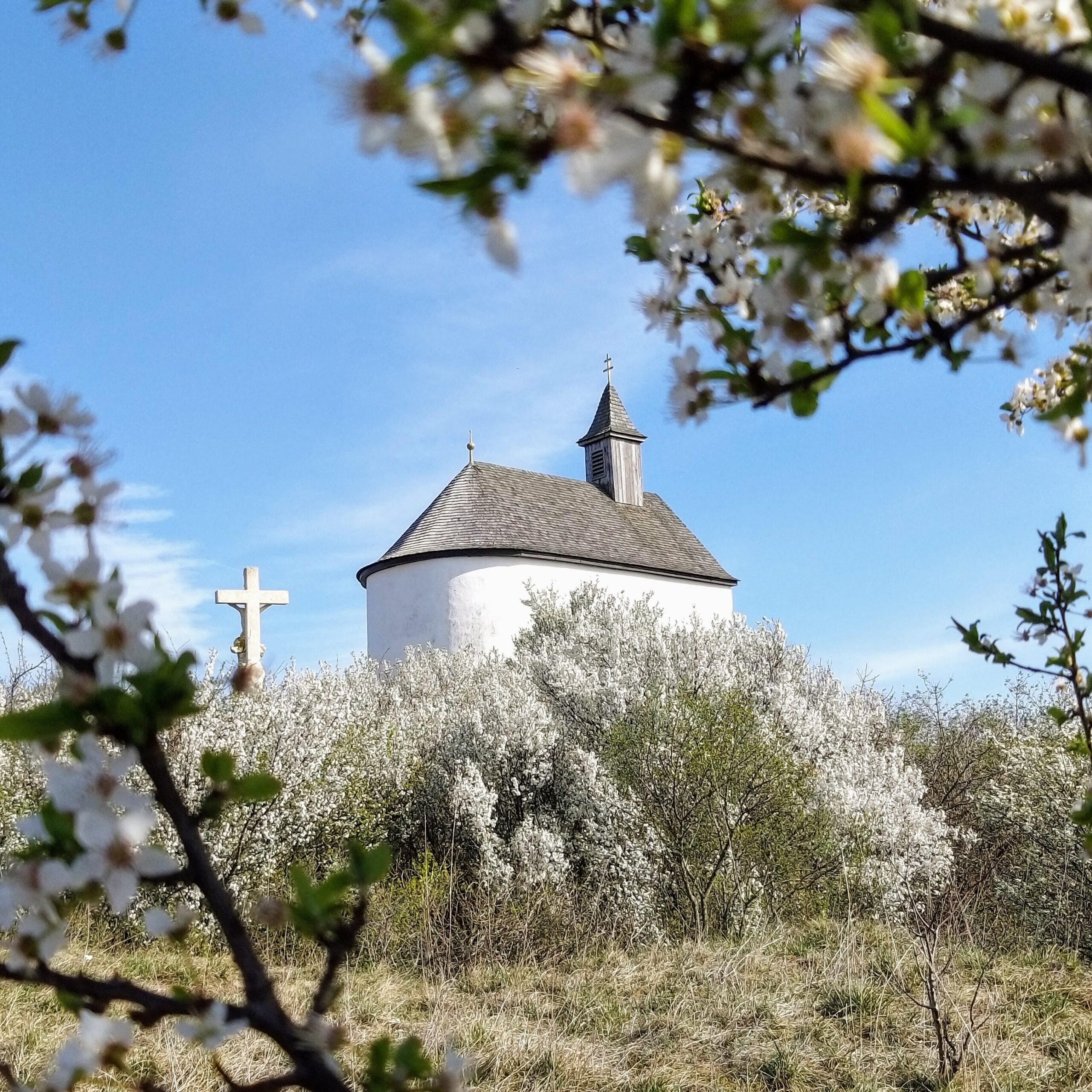 Read more about the article KULTURWANDERWEG