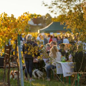 Read more about the article Veranstaltungsreigen in Oggau