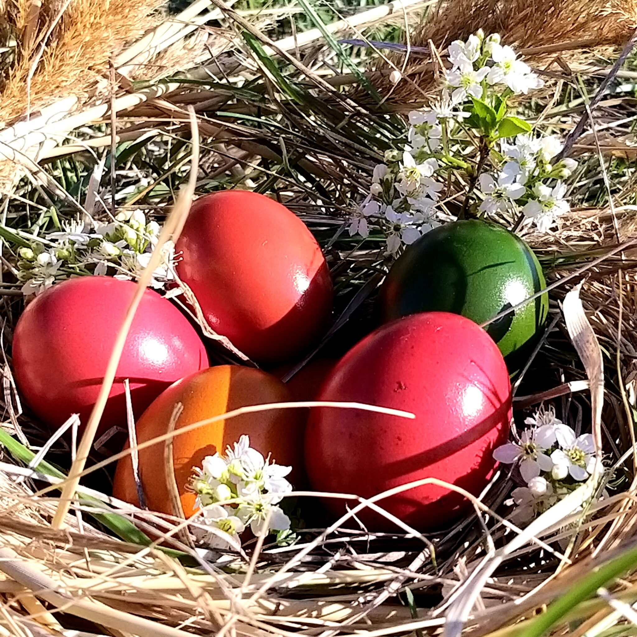 FROHE OSTERN Gemeinde Oggau frohe-ostern-gemeinde-oggau