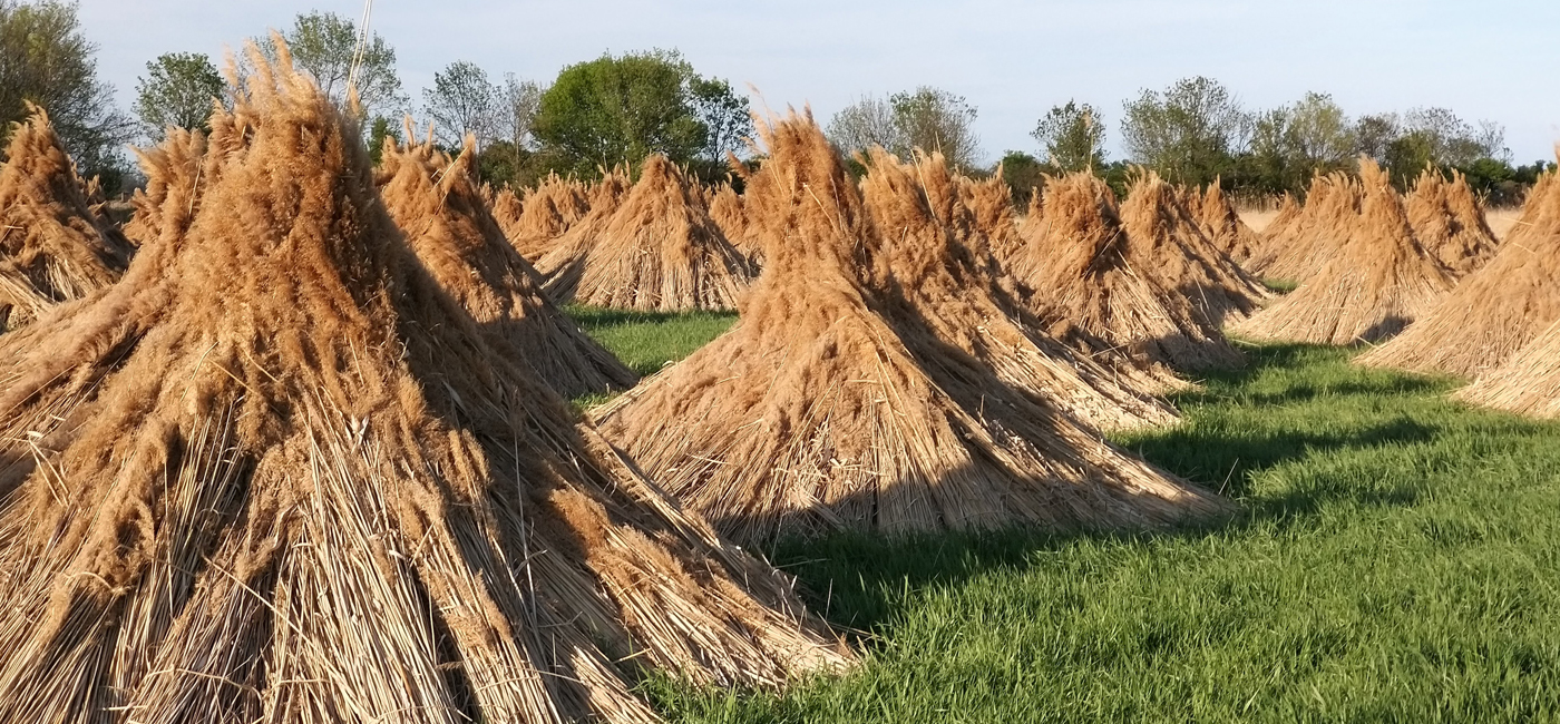 Naturwanderweg