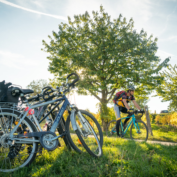 Radfahren